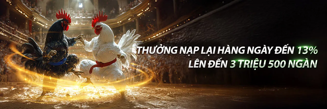 Đá gà k8vina code trực tuyến